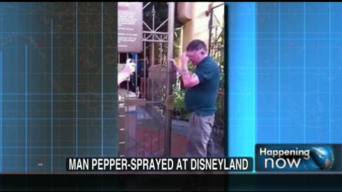 Caught on Tape:  Belligerent Man Pepper-Sprayed at Disneyland