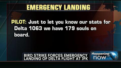 Bird Strike Forces Delta Plane to Make Emergency Landing at JFK Airport in NYC