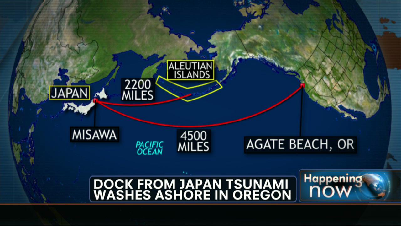 Fabien Cousteau's Insight on Impact of Japan Tsunami Debris Washing Ashore on US's Pacific Coast