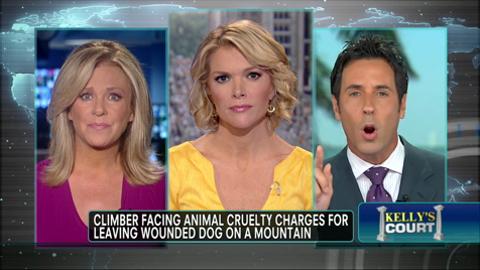 Climber Facing Animal Cruelty Charges for Leaving Wounded Dog on a ...