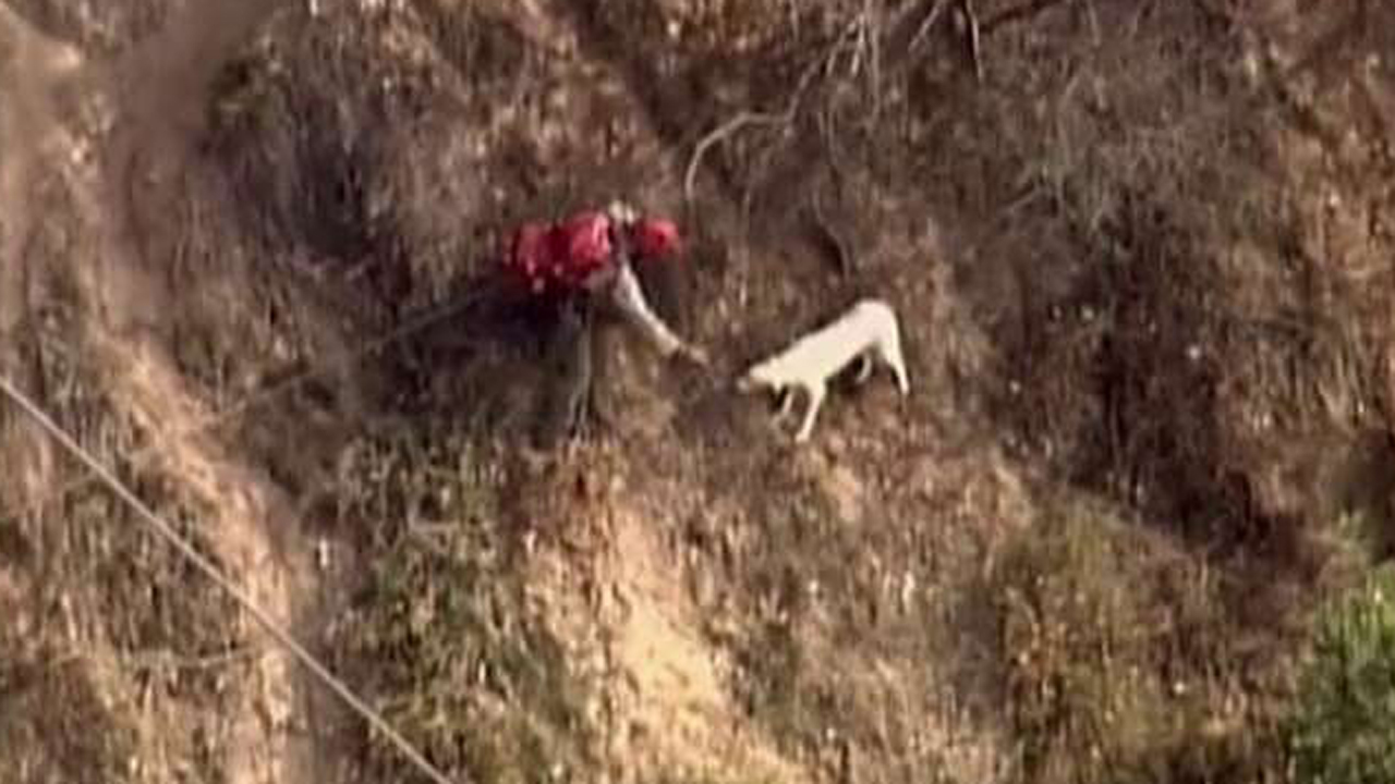 Rescuer falls farther down ravine trying to save trapped dog