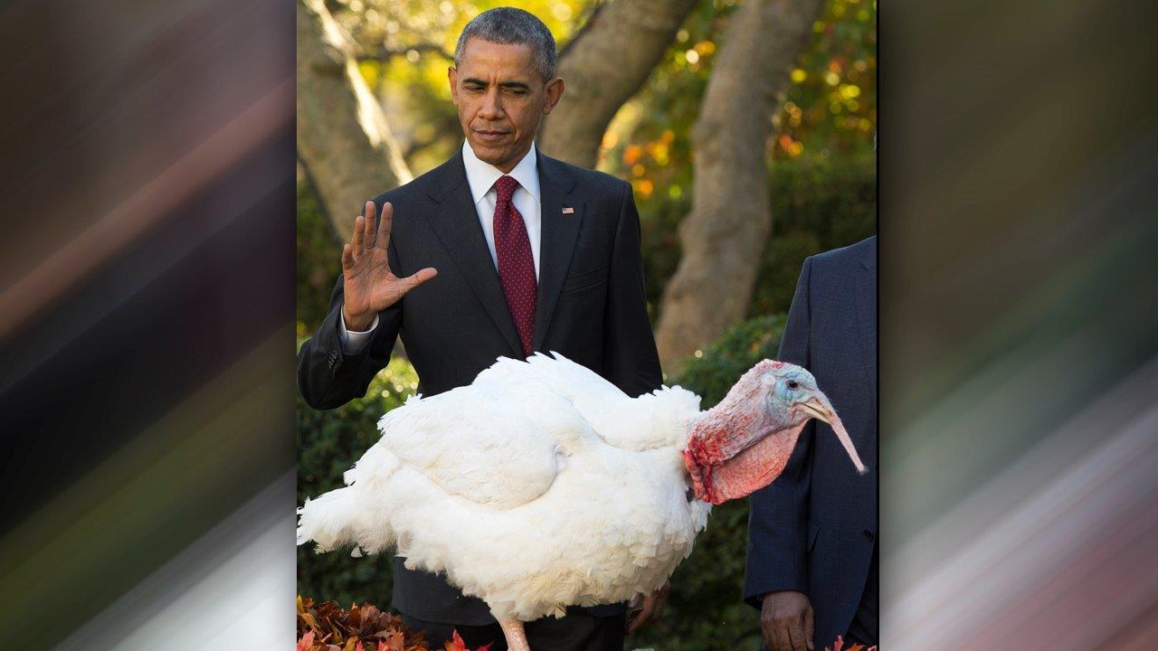 Obama daughters join POTUS for pardon of 'Abe' the turkey