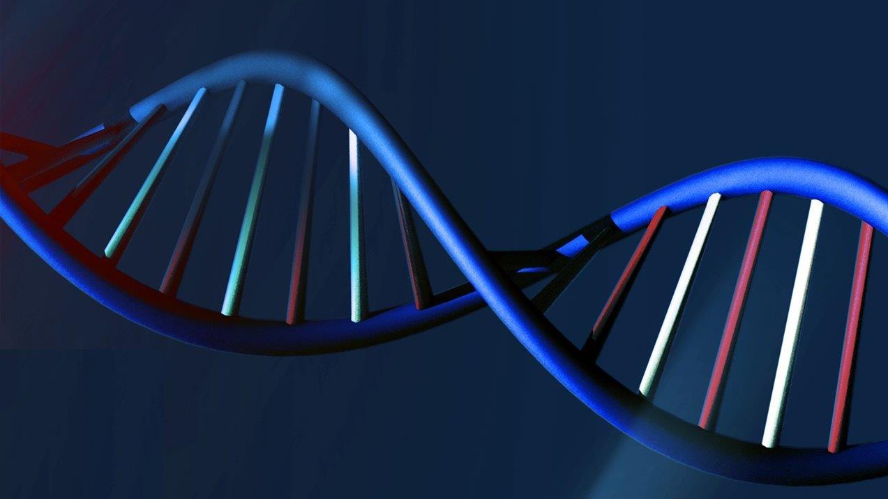 Scientists debate boundaries, ethics of editing human DNA