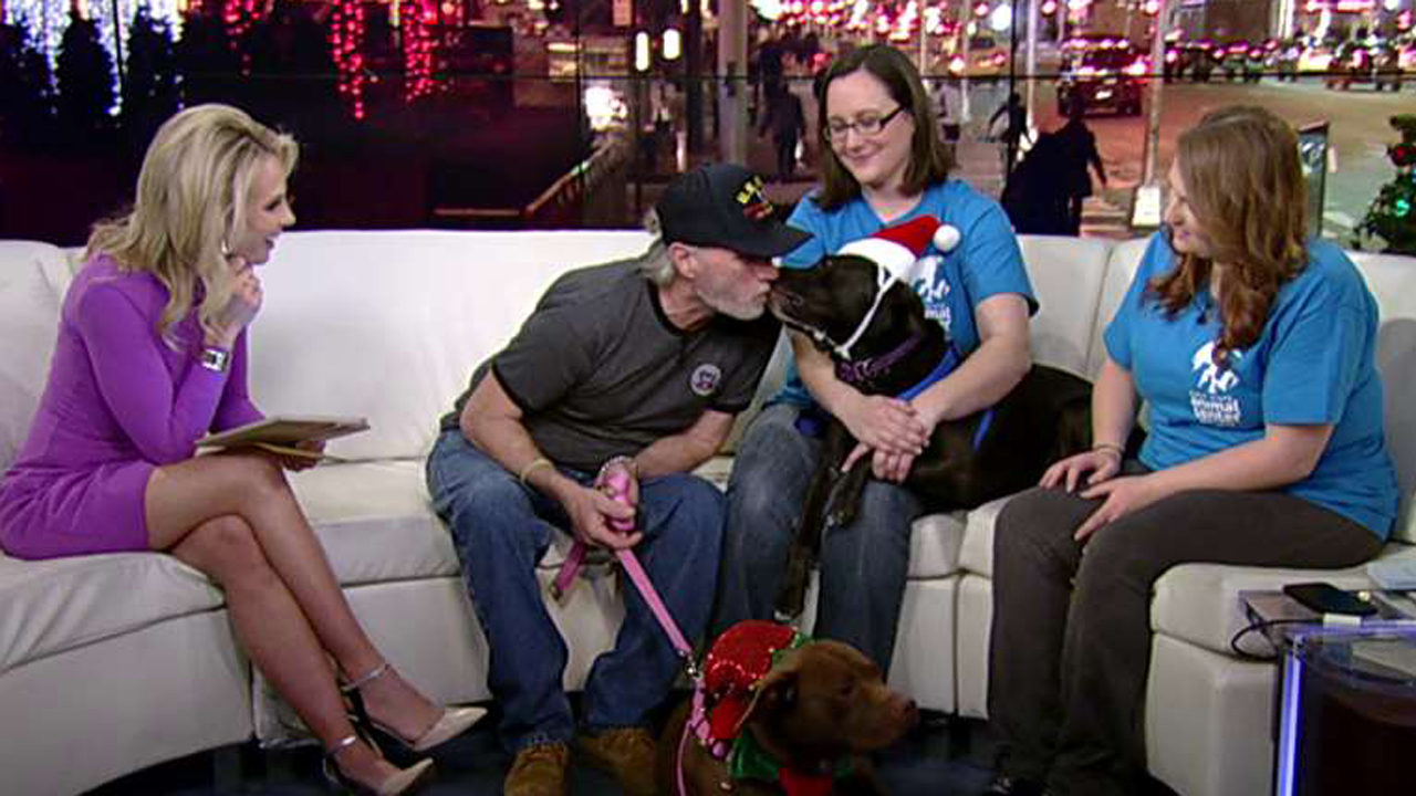 Shelter reunites sick veteran with dogs