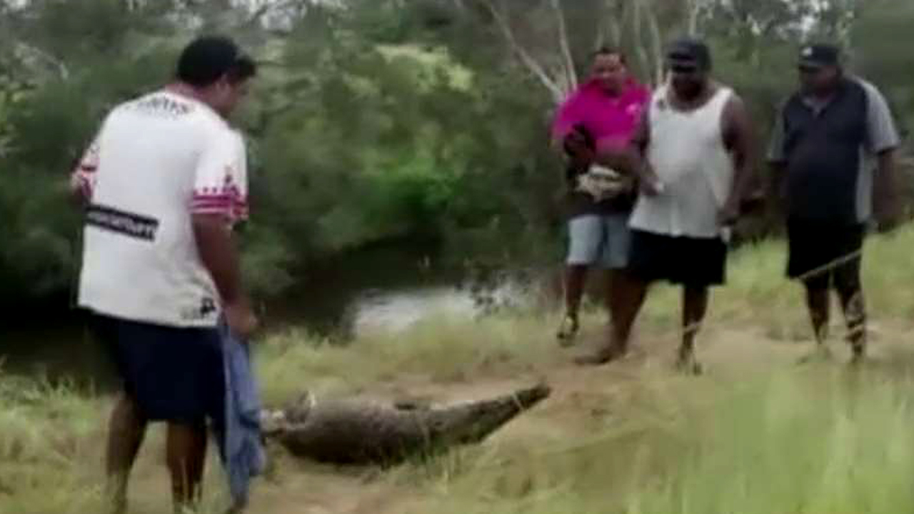 Crocodile blamed for attack on 68-year-old caught, killed