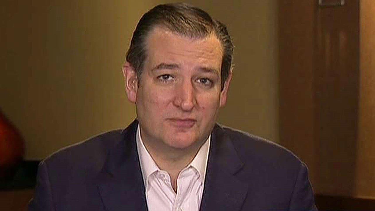Ted Cruz: Voters could not care less about my birthplace