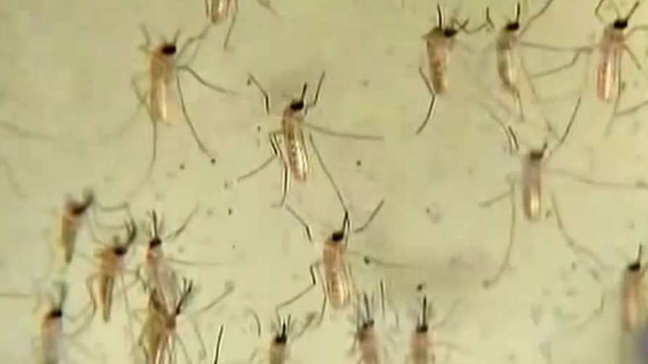 CDC issues travel alert for 14 nations exposed to Zika virus