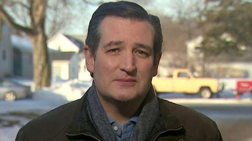 Ted Cruz reacts to being called an 'anchor baby in Canada' 