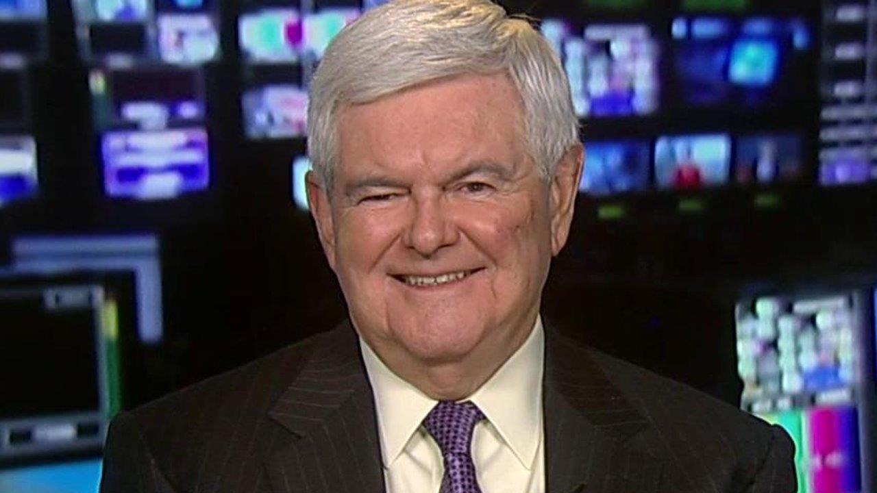 Newt Gingrich: Cruz most organized candidate in Iowa 