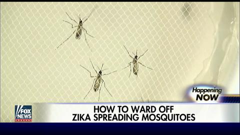 Mosquito blamed for spreading Zika virus found in US 