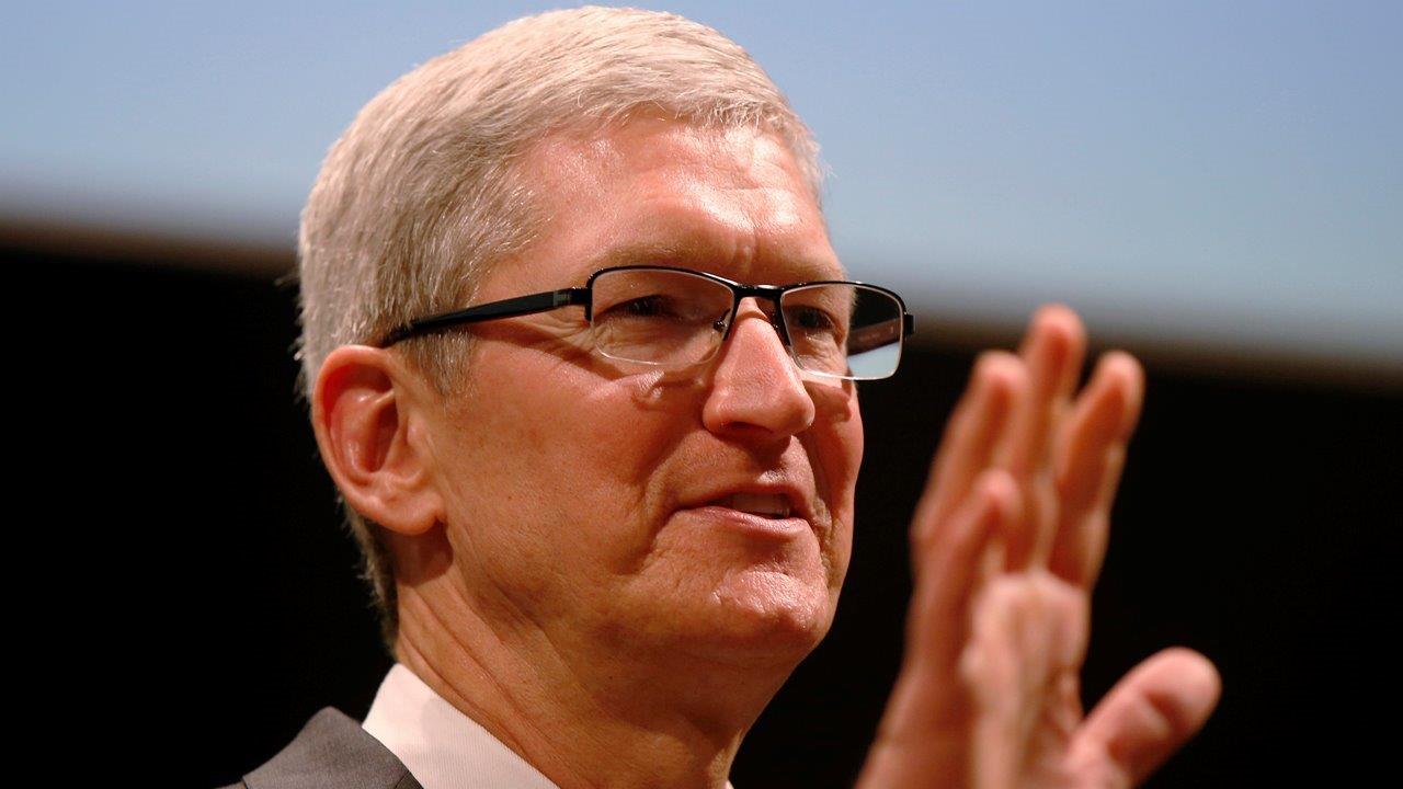Apple CEO defends decision not to unlock terrorist's phone