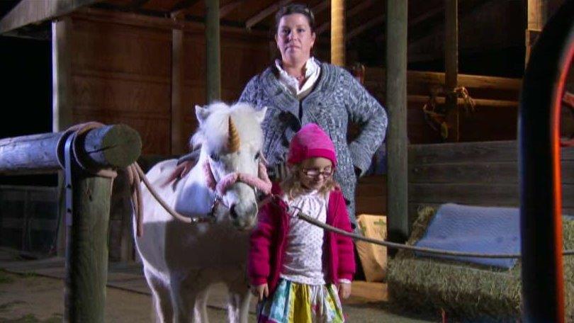 Juliet the 'unicorn' led Calif. police on a wild chase