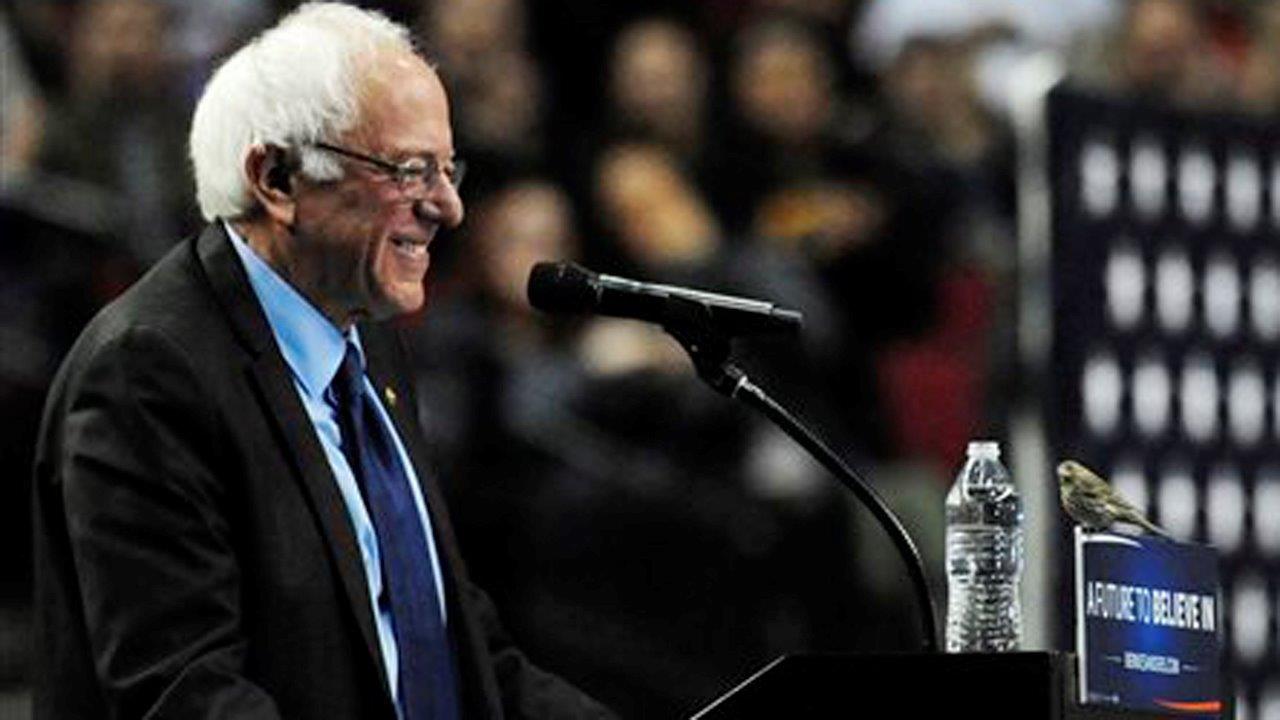 Sanders wins big in Washington, Alaska and Hawaii