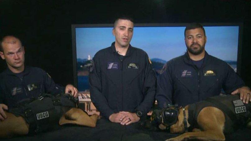 Explosive detection dogs complete helicopter training