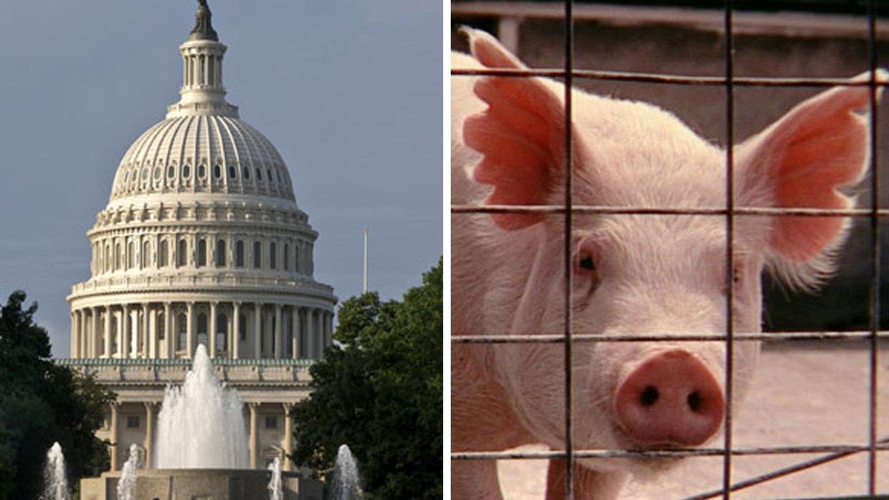 Government spending under the microscope in 2016 pig book