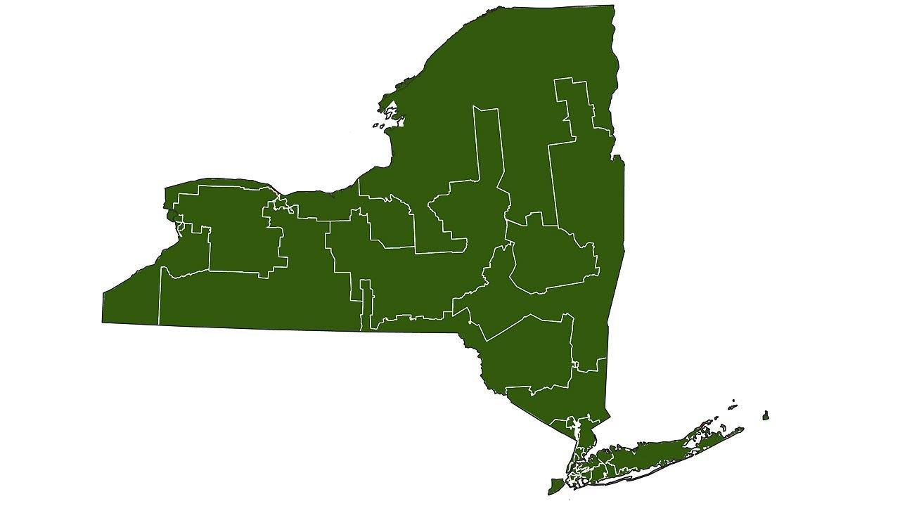How different districts factor into NY primaries