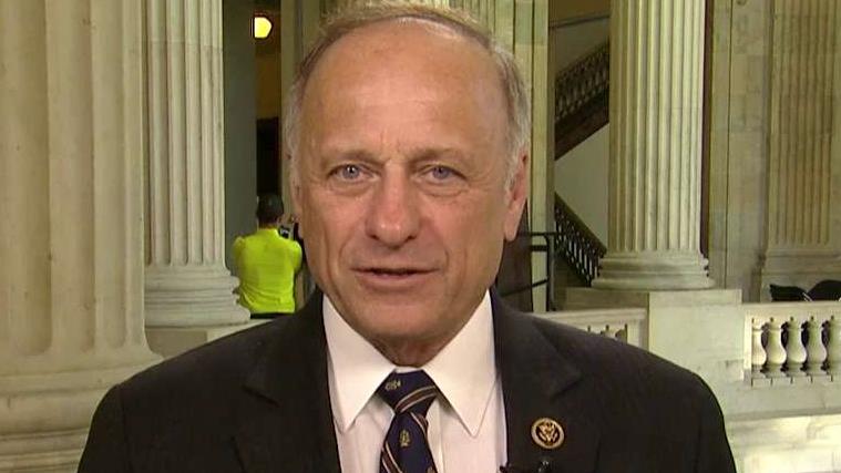 Rep. Steve King clashes with immigration protesters
