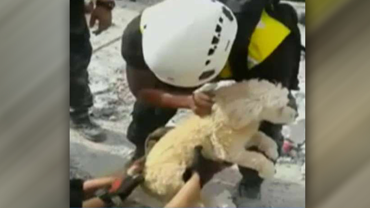 Rescue crews pull dog from rubble in Ecuador earthquake
