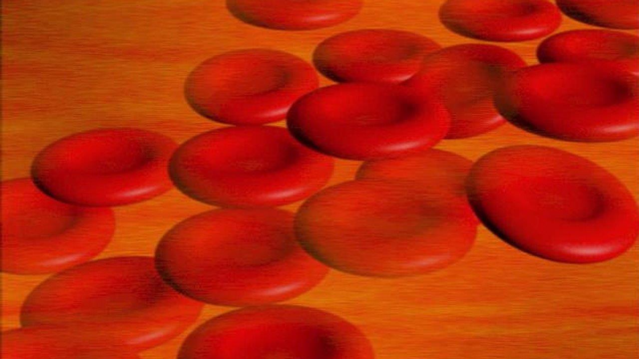 I've been diagnosed with severe anemia: Should I worry?