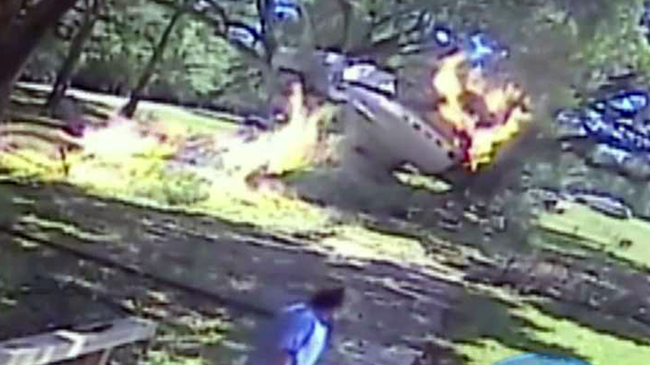 Shocking video: Plane crashes into tree, pilot survives