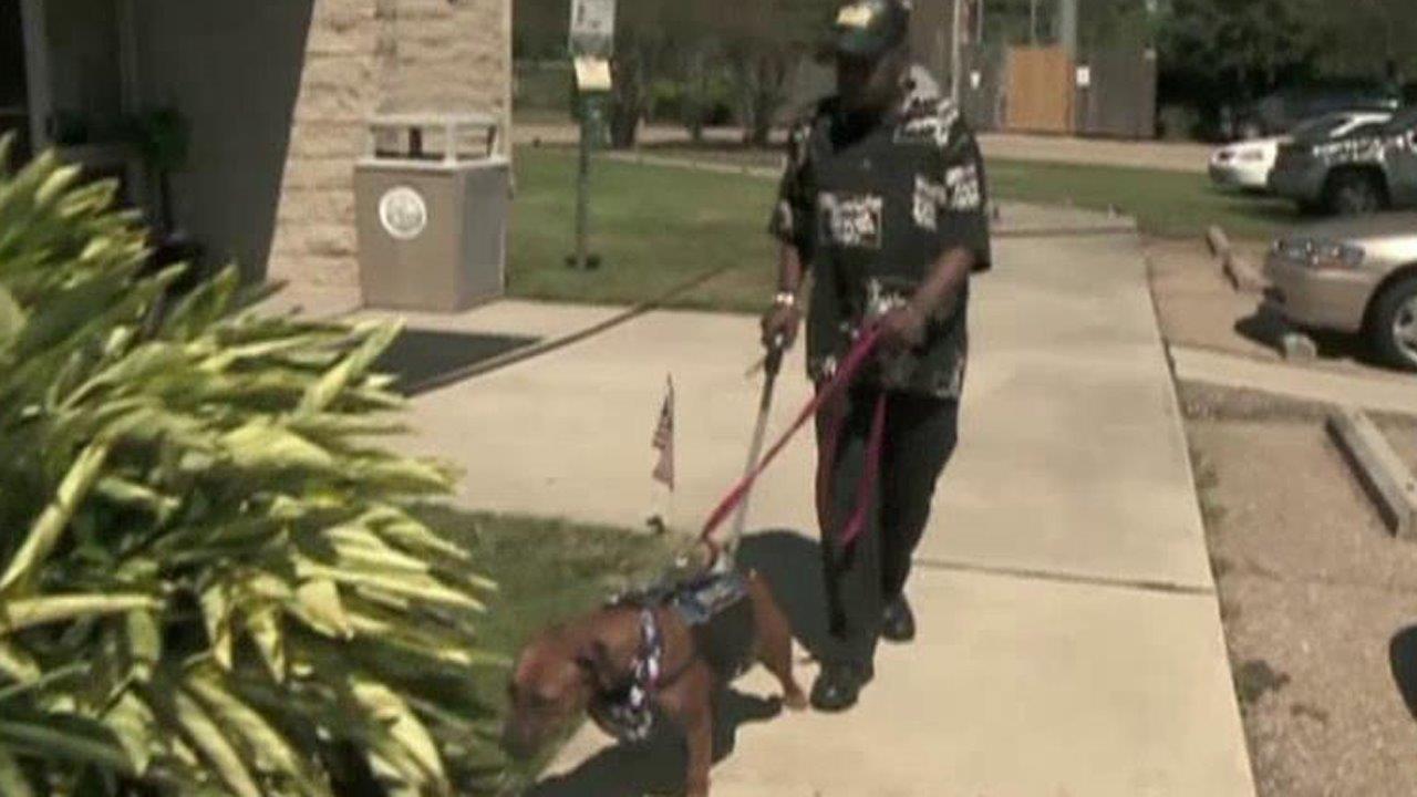 Do service dogs help or hinder vets with PTSD? 