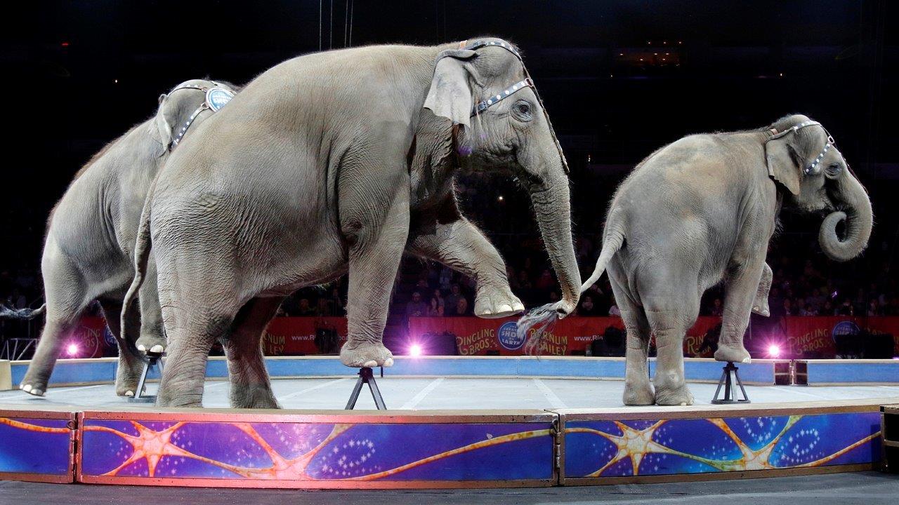 End of an elephant era: Ringling Bros. ends iconic act