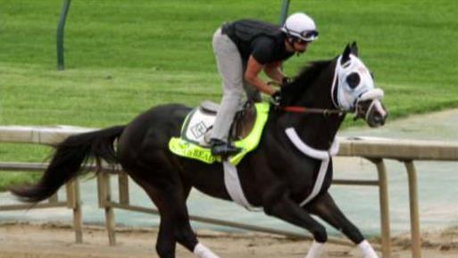 What goes into training a Kentucky Derby horse?