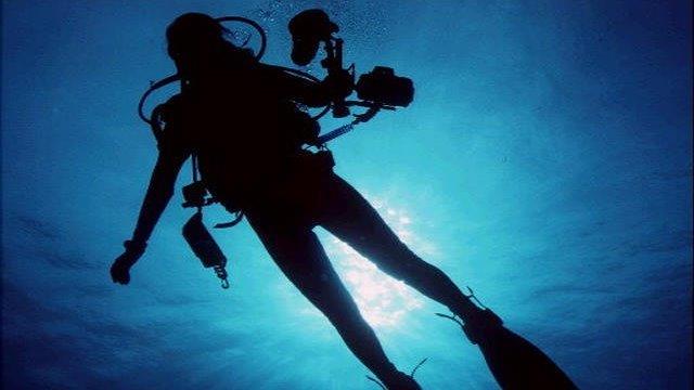 Scuba diver left stranded as sharks circle 