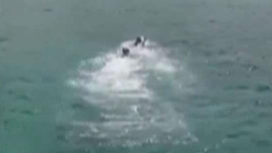Video: Plane crash survivors swim to shore in Hawaii