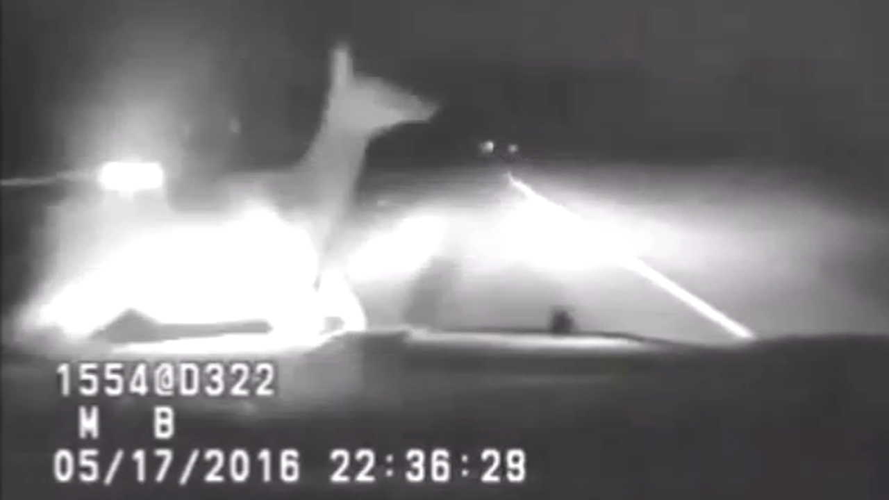 Elk leaps in front of patrol car, crash caught on dash cam