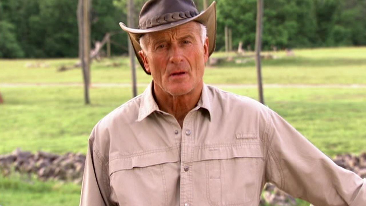 Jack Hanna: I agree with zoo's decision to take out gorilla