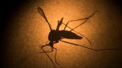Growing concerns over Zika virus ahead of the Olympics