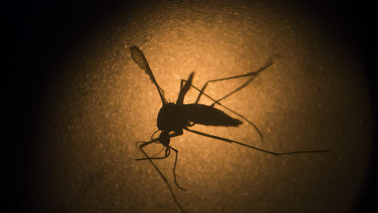 First Zika-linked birth in New Jersey