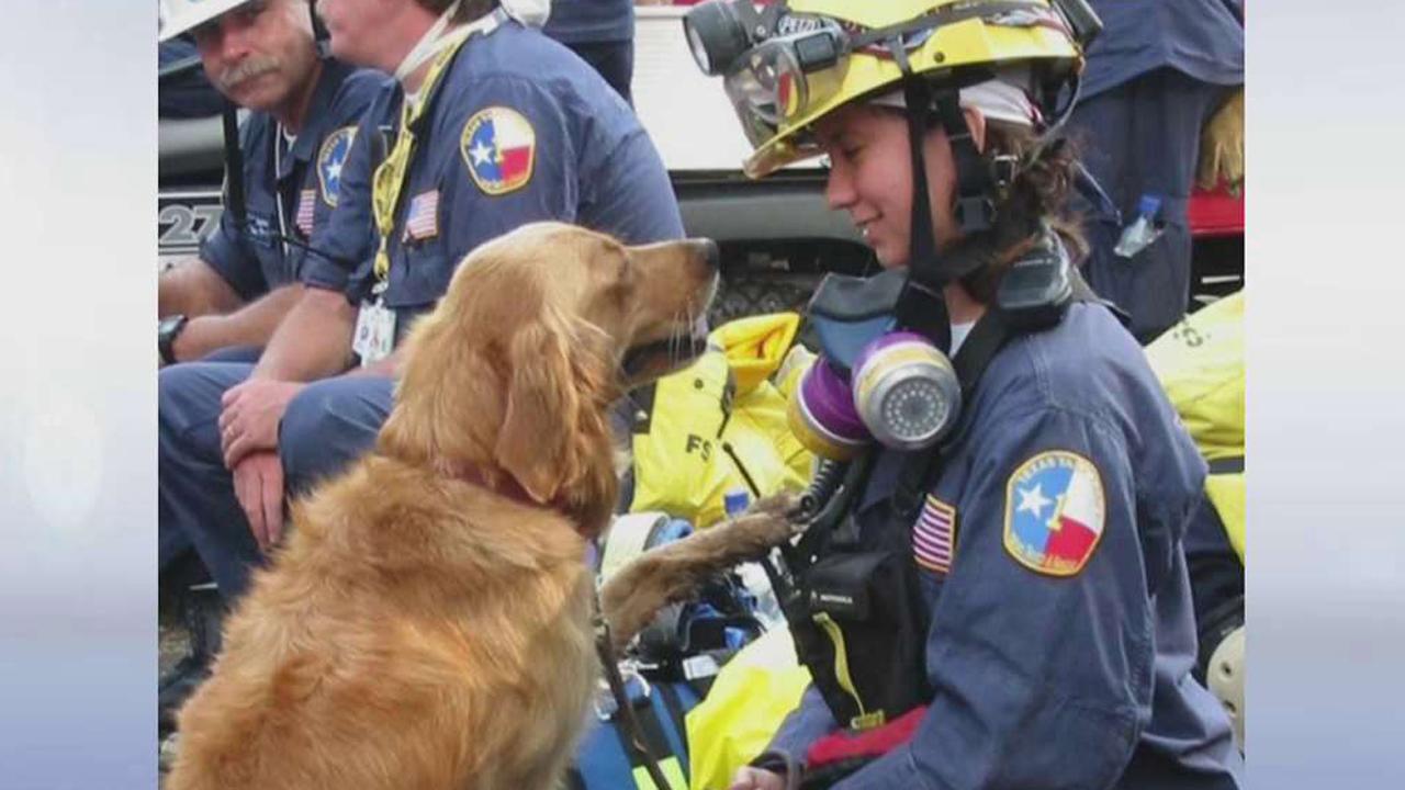 Last known 9/11 Ground Zero search dog dies