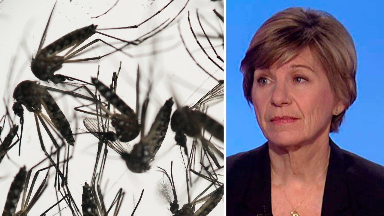 Gates Foundation joins fight against 'serious' Zika problem