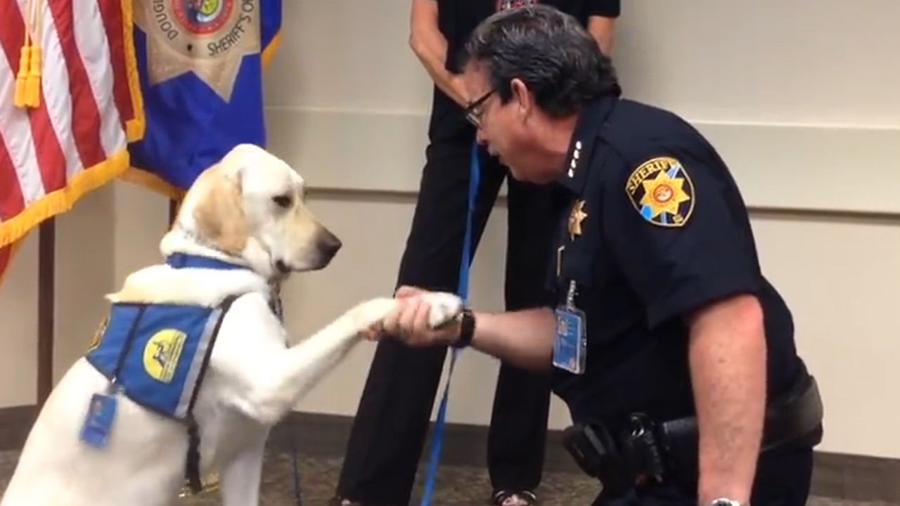 Ready for duty: Pup sworn in as K9 in adorable ceremony