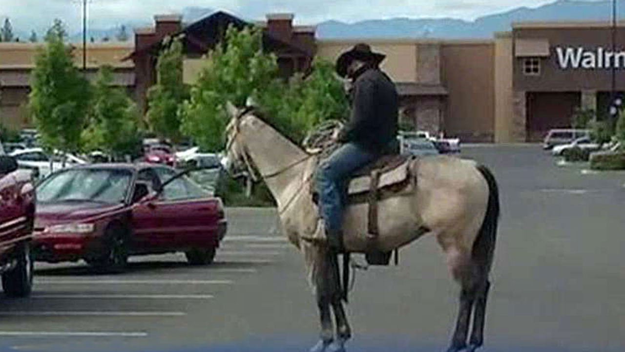 Cowboy chases and lassos would-be thief