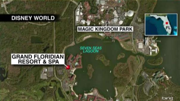 Could Disney be held liable for the alligator attack?