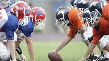 Youth football players learn the fundamentals from the pros