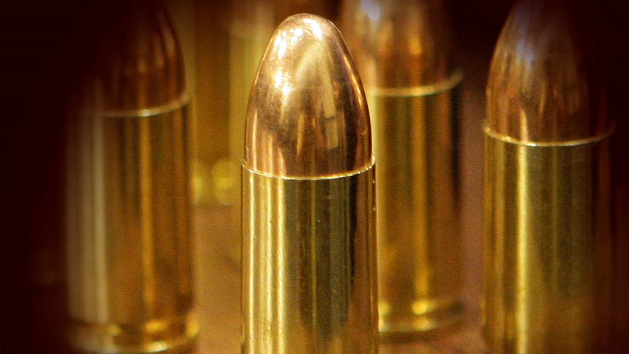 New measure would require background checks to buy ammo