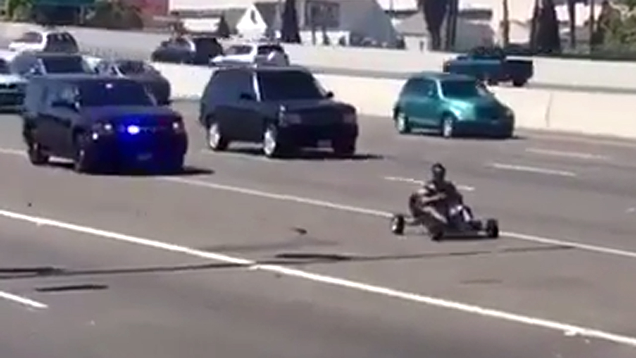 Hot wheels: Go-kart flees cops in bizarre chase on highway