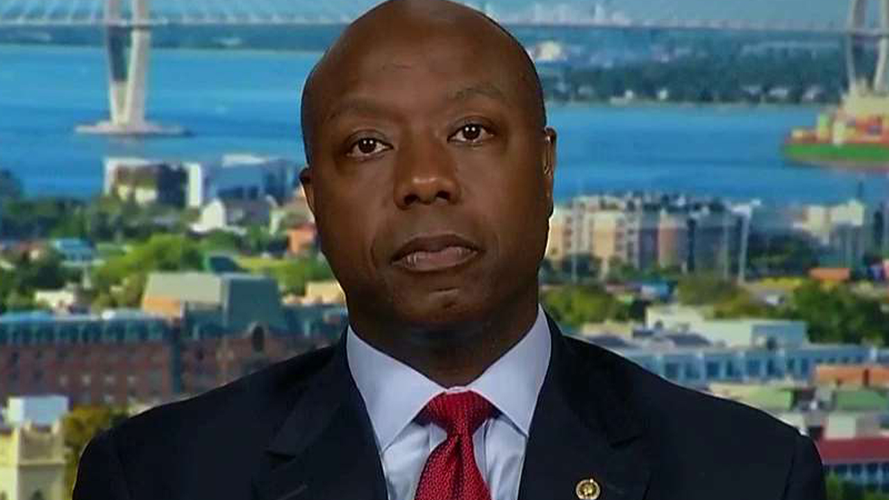 Sen Tim Scott Discusses Police And Racial Divide Fox News Video 