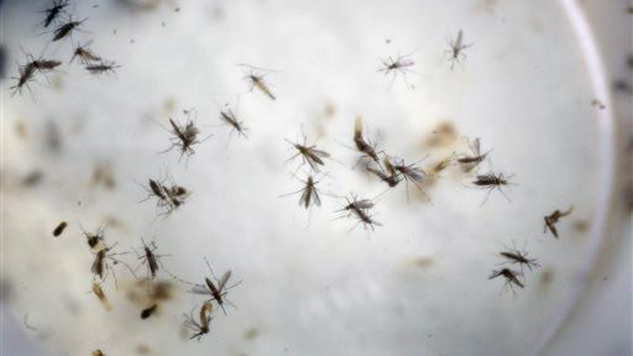 First Zika-related death in continental US reported in Utah