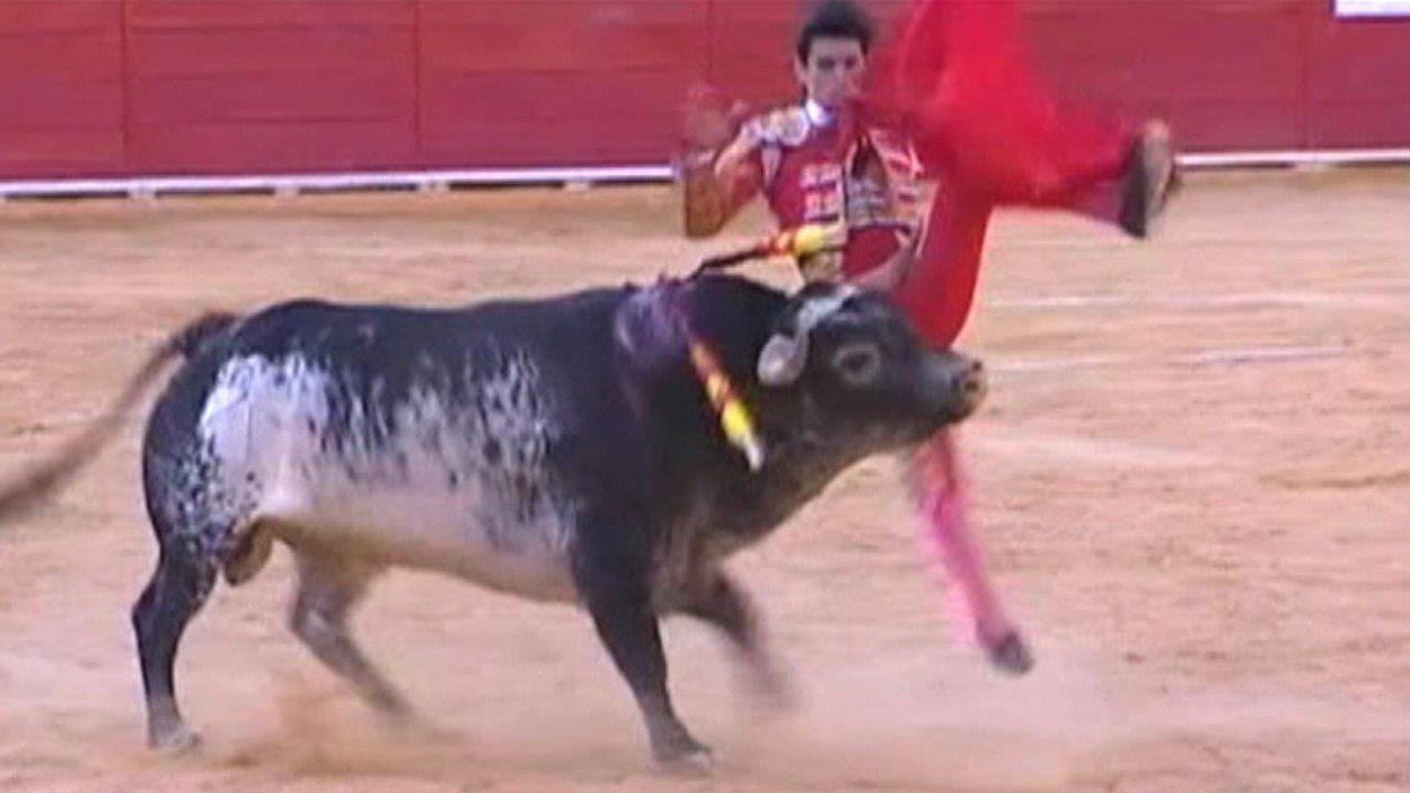 Spanish bullfighter fatally gored on live TV