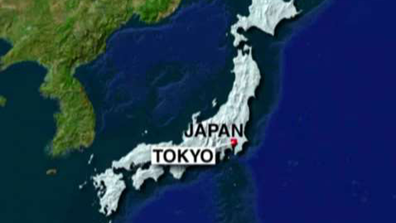 Tokyo knife attack kills at least 15