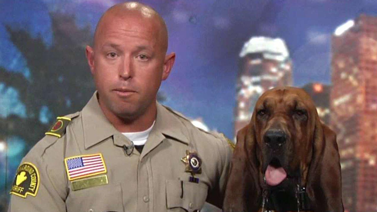 K-9 sniffs through woods to rescue kidnapped girl 