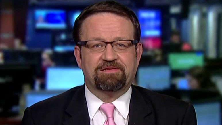 Gorka: The DNC has been captured by left-wing radicals