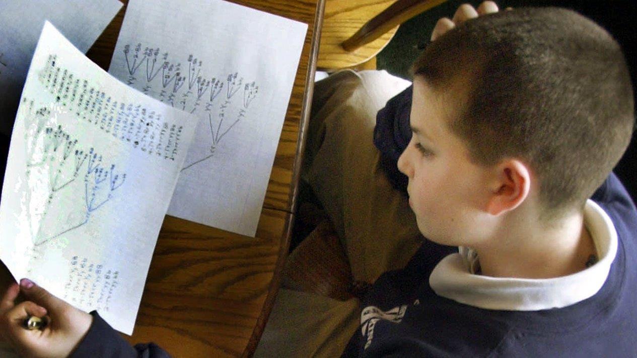 Teacher's 'no homework' policy goes viral 
