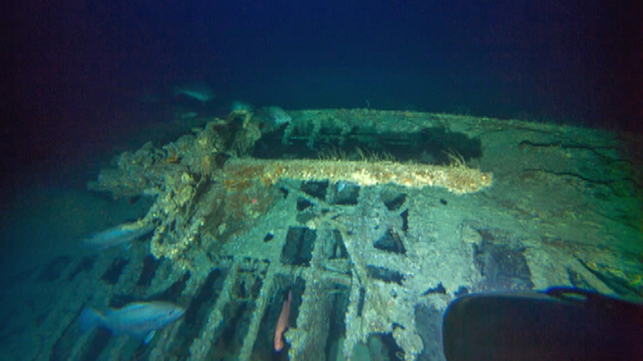 Remains of German U-boat found off North Carolina coast