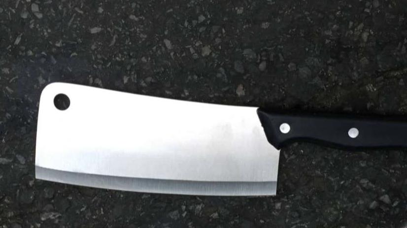 Meat cleaver-wielding man attacks NYPD detective